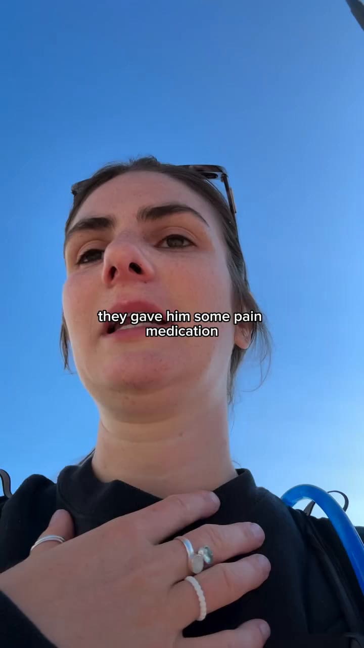 La emotiva historia del gatito que fue atropellado en una ruta