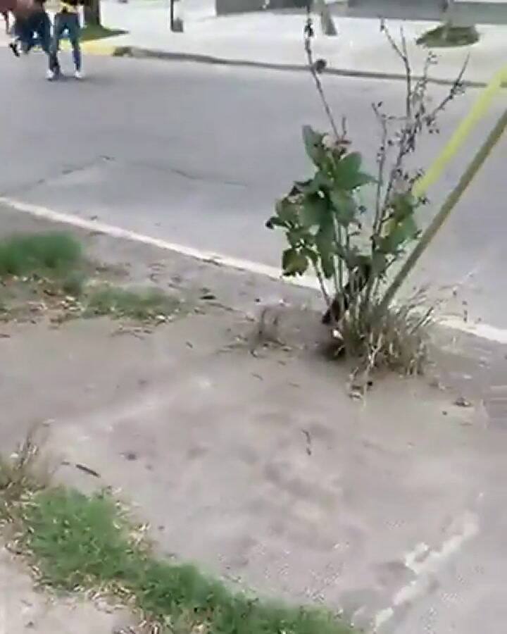 Una patota agredió a tres jóvenes y los hirieron con botellas cortadas