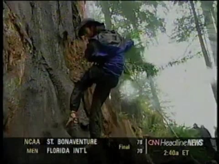 Julia Hill bajó del árbol luego de 738 días