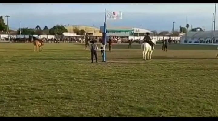 Así fue la caída del joven jinete en Corrientes