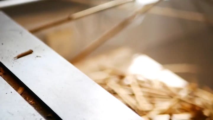 Raws.rocks le responde con un negocio ingenioso a la crisis del plástico.