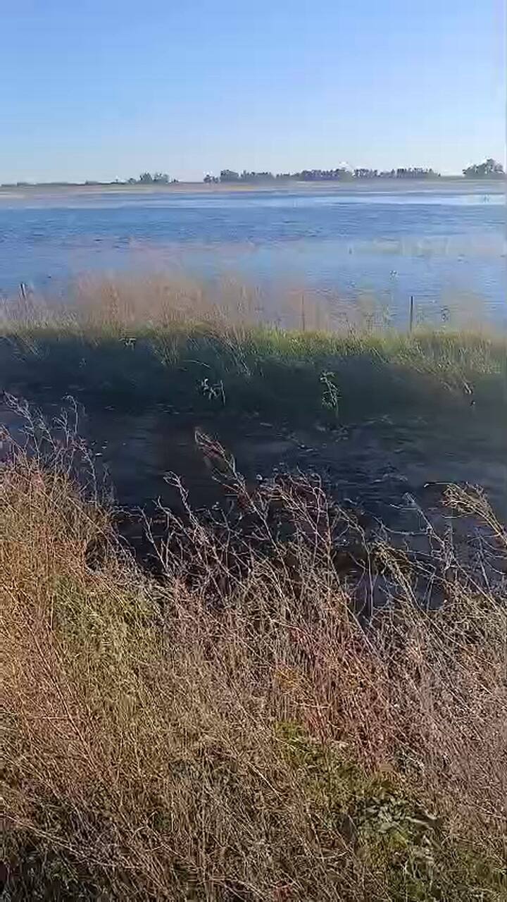 El drama que viven los productores de Bolívar afectados pro las inundaciones