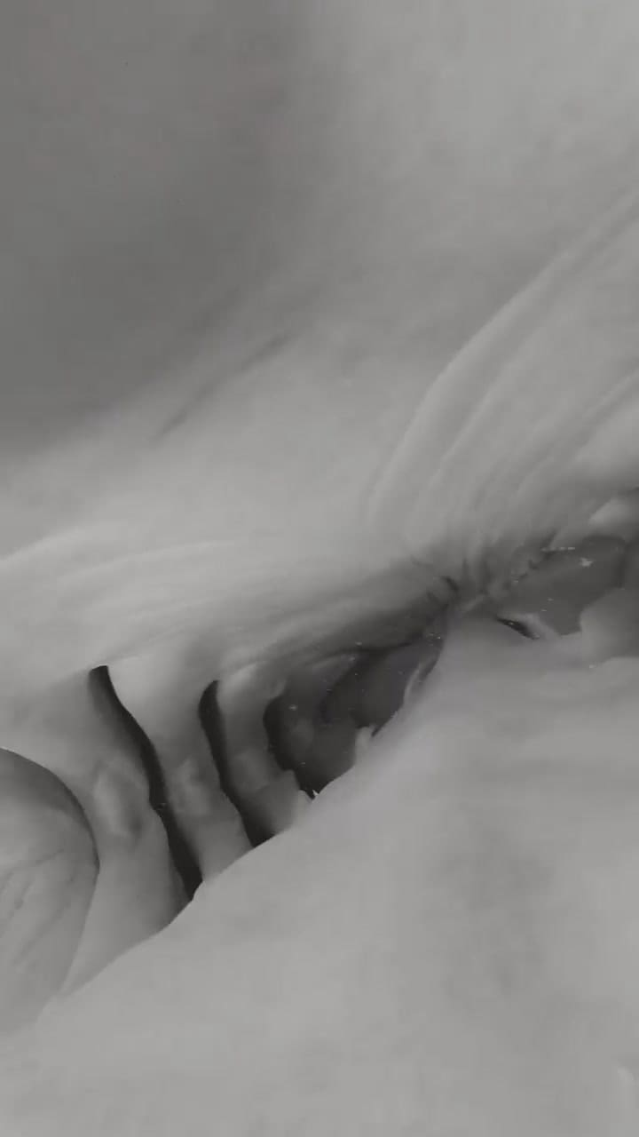 Tiburón se traga una cámara y da un vistazo como es su interior