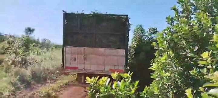 Confuso episodio con un operativo en un campo en Misiones