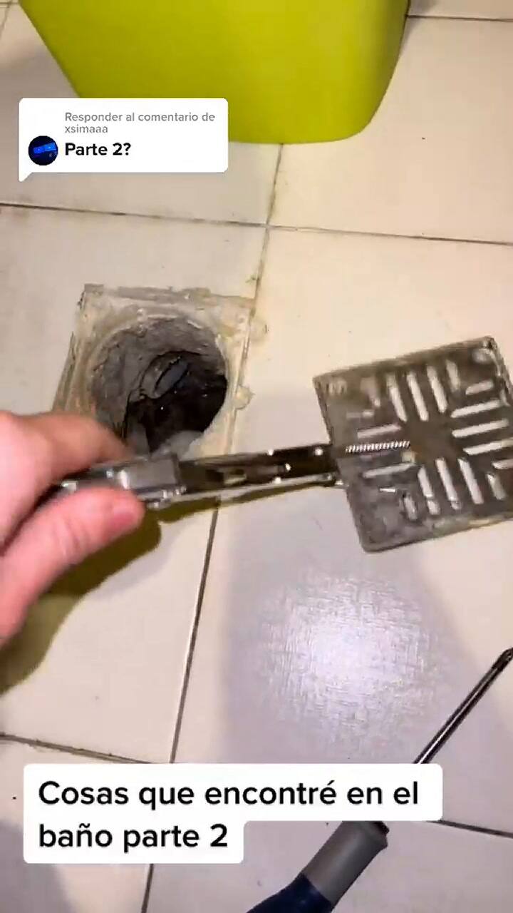 La segunda parte del extraño descubrimiento viral