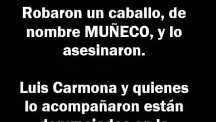 El brutal asesinato del caballo 'Muñeco'