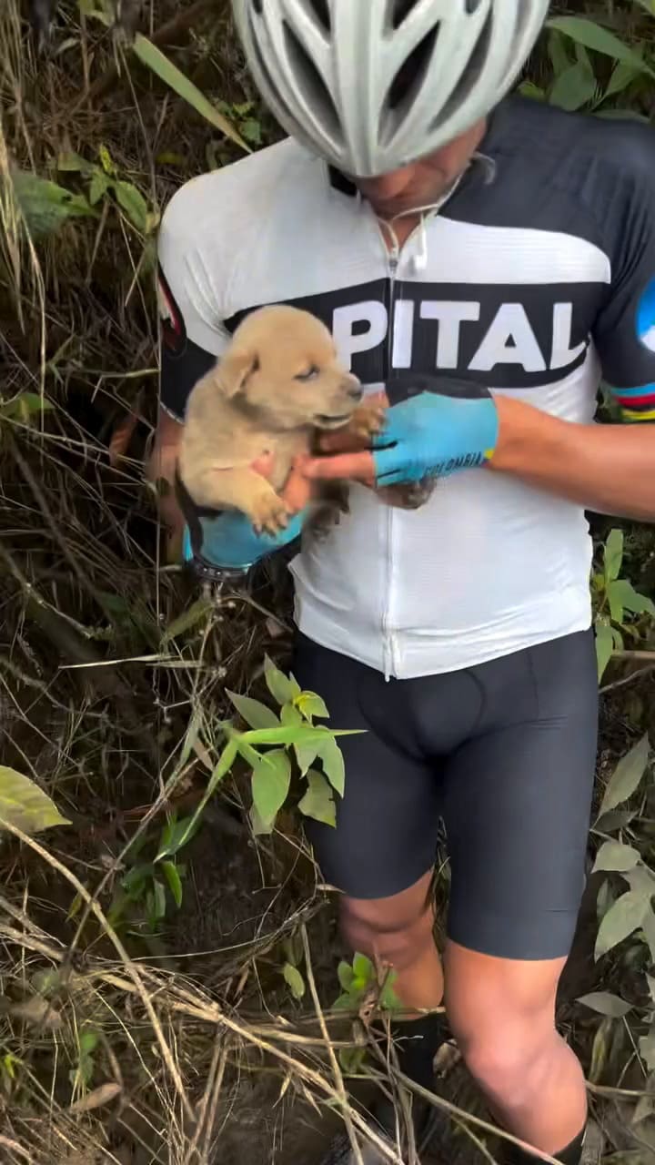 En medio de su viaje en bicicleta, unos ladridos los paralizaron y los guiaron a un rescate (Video: Instagram @pataspeludascc)