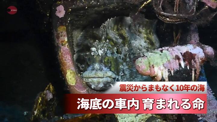 Japón: encontraron un auto en el fondo del mar - Fuente: Youtube