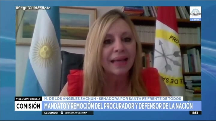 El insólito blooper de Martín Lousteau durante la discusión por el procurador - Fuente: Senado Arg