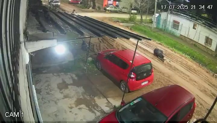 Los videos del momento en el que un policía mató a un ladrón que le quiso robar su auto en el conurbano