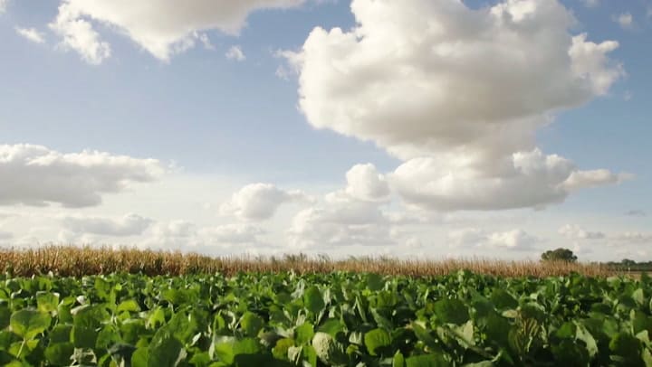 AgIdea, un emprendimiento de Pergamino para el mundo