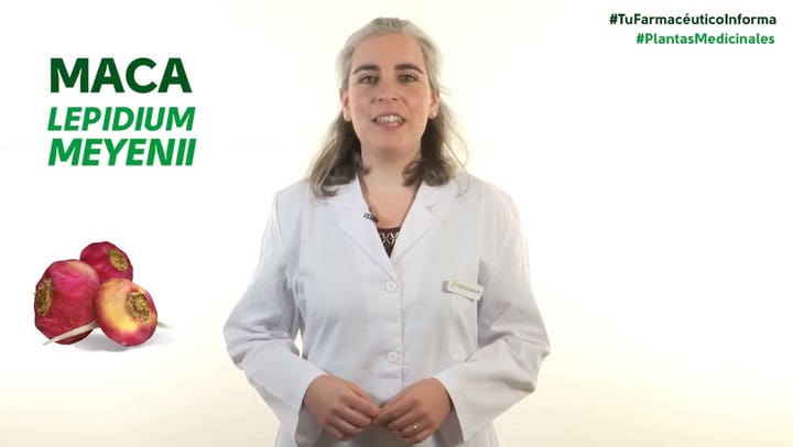 Maca, Cuándo Y Cómo Debemos Tomarla