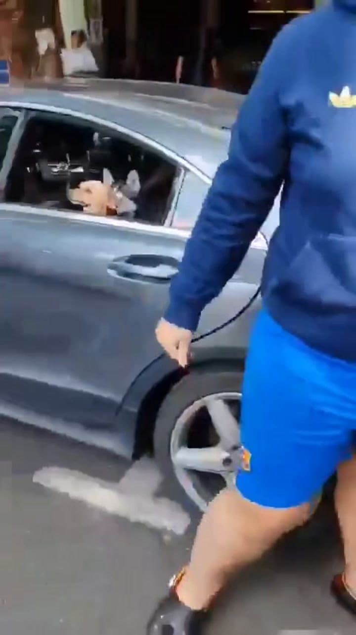 Una argentina se volvió viral en México tras utilizar insultos racistas contra la Policía local
