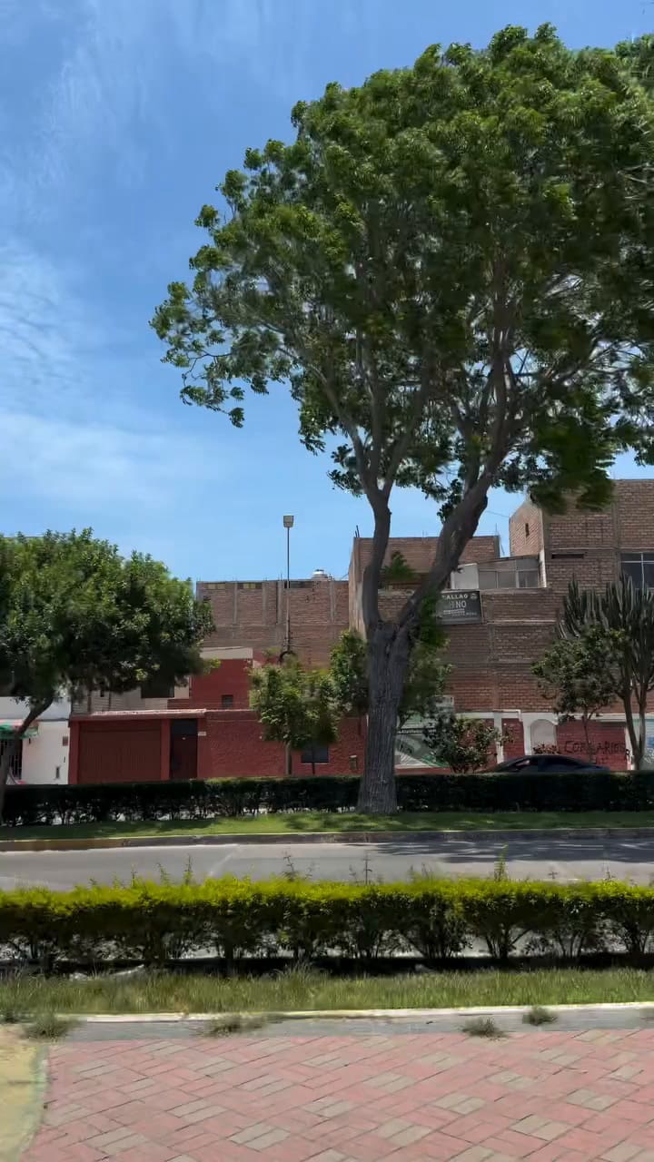 Bad Bunny por las calles suburbanas de Lima