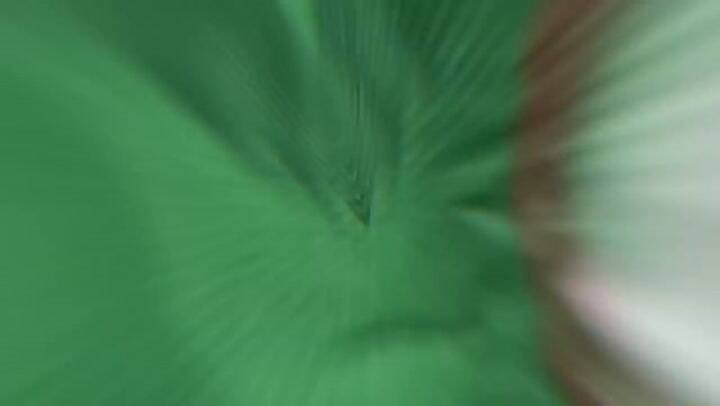 Las mejores imágenes del partido de la selección de México en Arizona