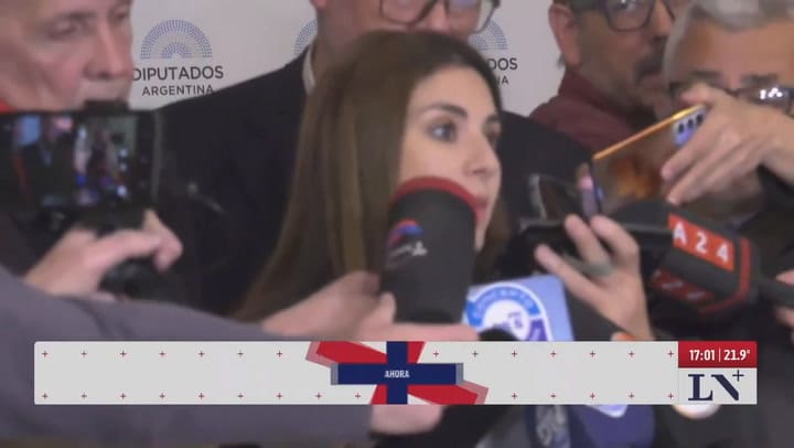 Marcela Pagano: "Lemoine tiene los patitos corridos"
