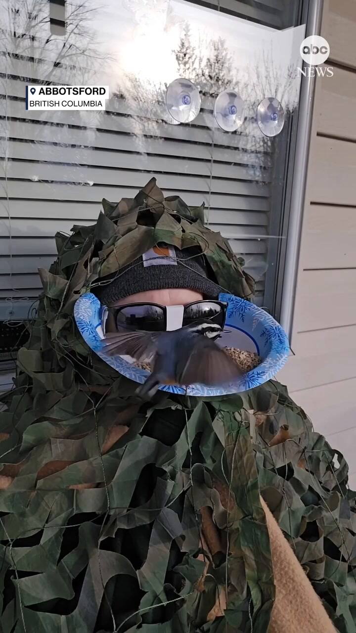 Michelle Lefebvre desarrolló una técnica para ver de cerca a las aves