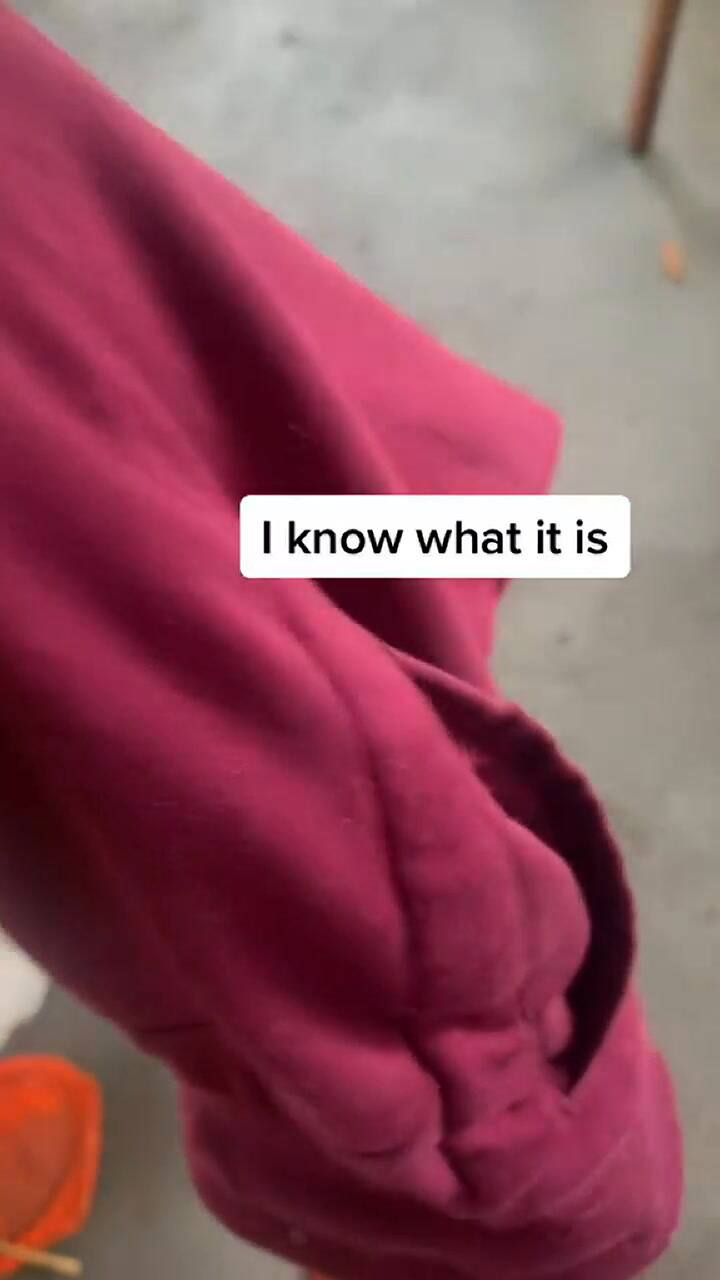 Tiktoker encuentra una lagartija dentro de su pantalón