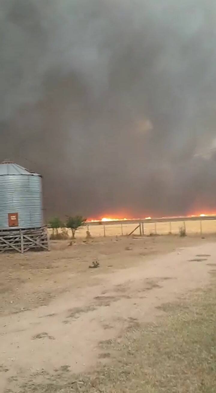 Incendio en un campo ubicado en el partido bonaerense de Exaltación de la Cruz