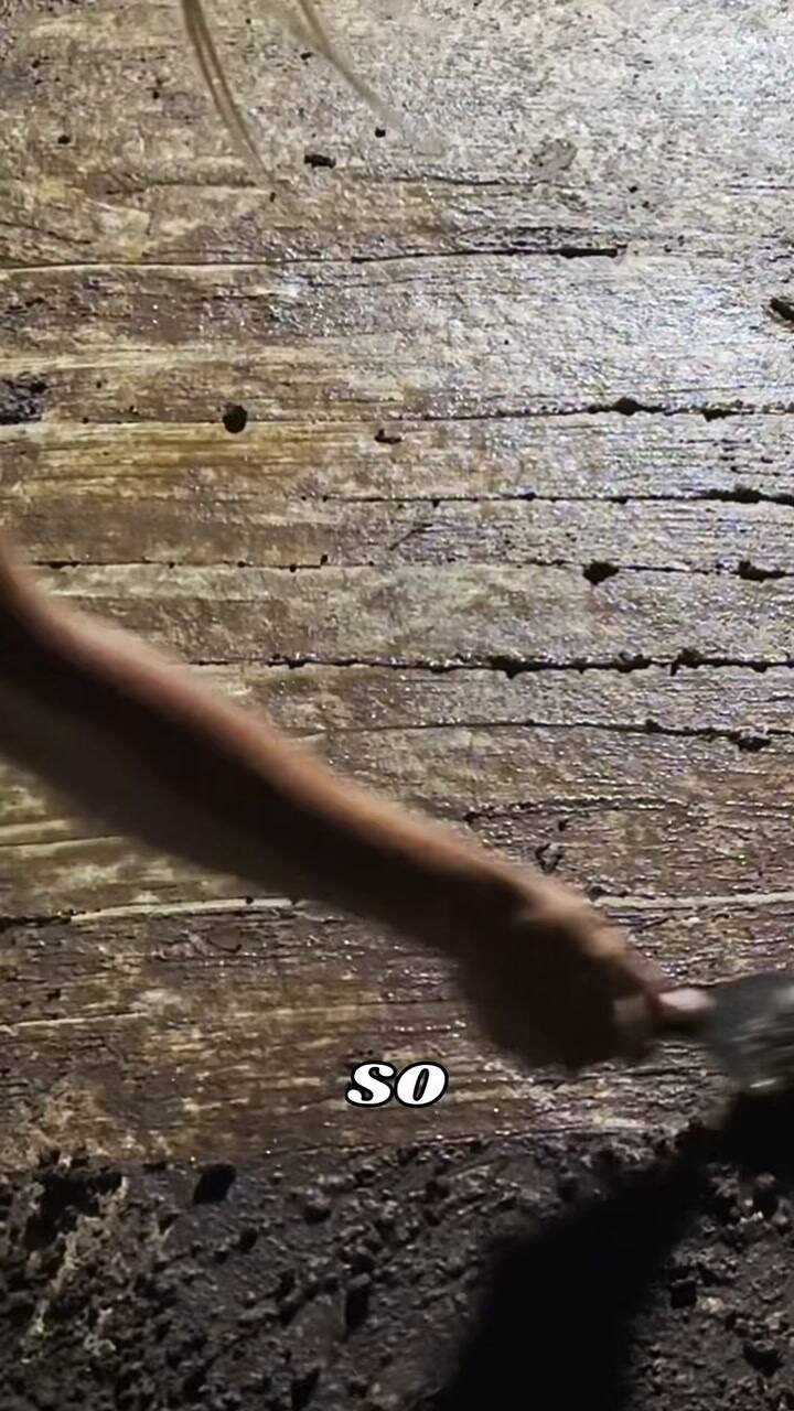 I Cleanee An Abandoned Grave At Night