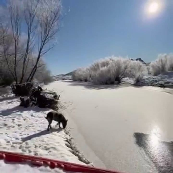 GIF río congelado