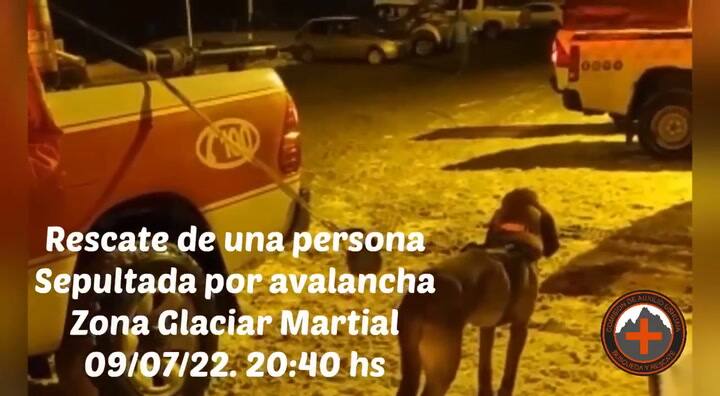Ushuaia: un perro salvó a un esquiador enterrado bajo un metro y medio de nieve por una avalancha