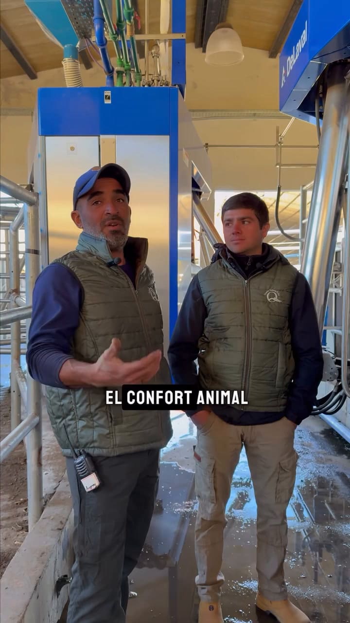 Los robots del tambo Señora Sofía