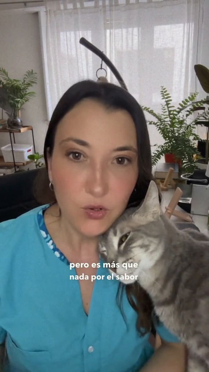 Ssstik.io 1728146254606