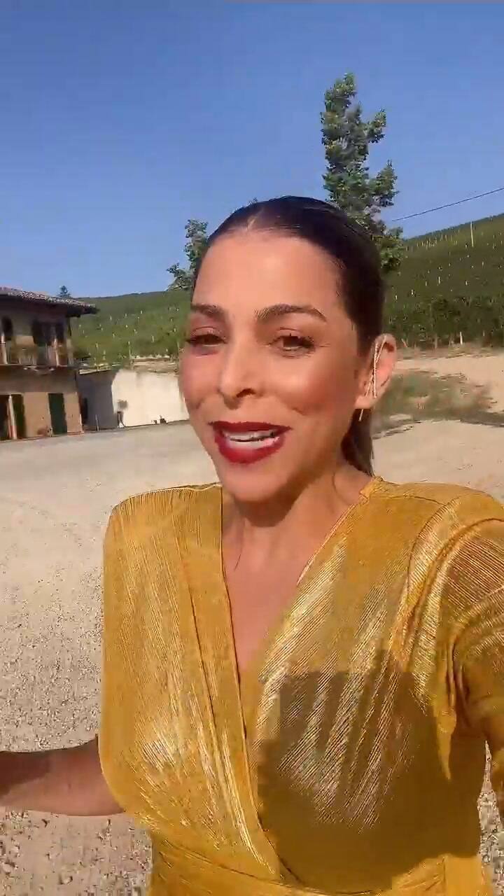 Lourdes Stephen anuncia su salida de Univision