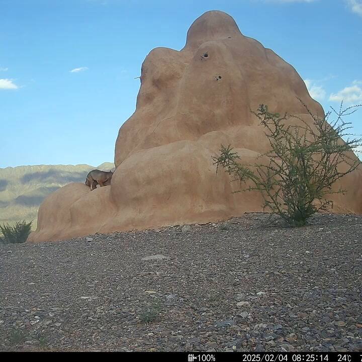 La obra en barro del artista Charly Nijensohn que está en el nuevo parque de esculturas de Valle de Zonda, San Juan