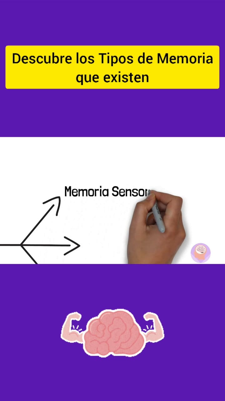Tipos De #Memoria #Neuroaprendizaje #Neurociencia #Neurociencias #Cerebrohumano #Aprendizaje