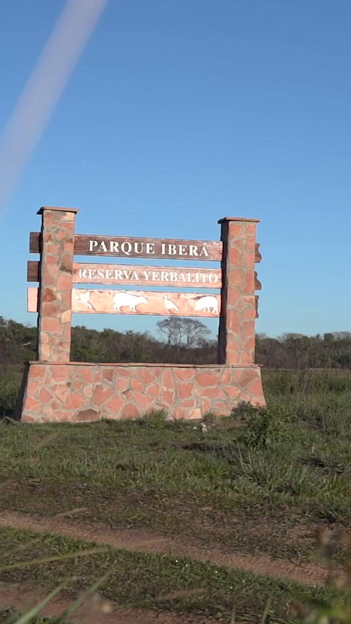 El equipo de la Fundación Temaikèn explica el trabajo realizado con los ejemplares reinsertados