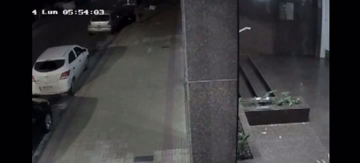 Viudas negras en Mar del Plata