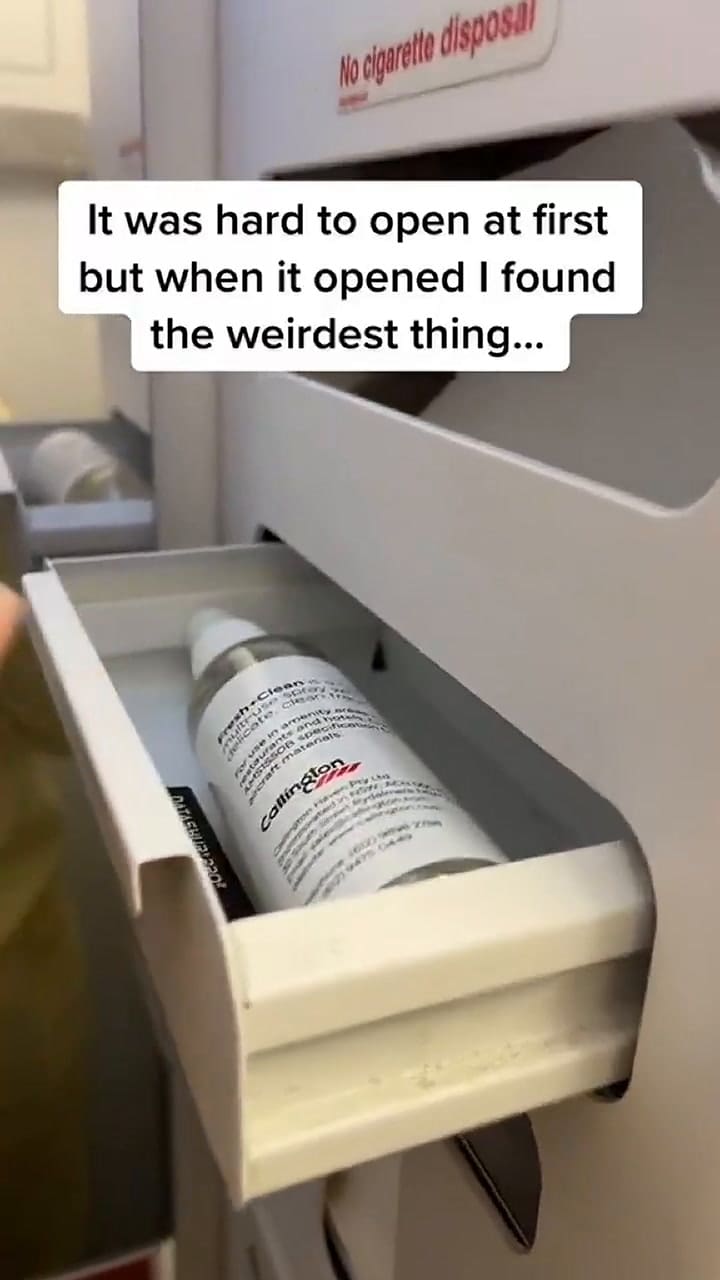 Una tiktoker se encontró un artículo desconocido en un avión y lo mostró en redes