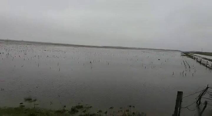 Inundaciones en los campos del norte y en la cuenca lechera de Santa Fe - Fuente: YouTube