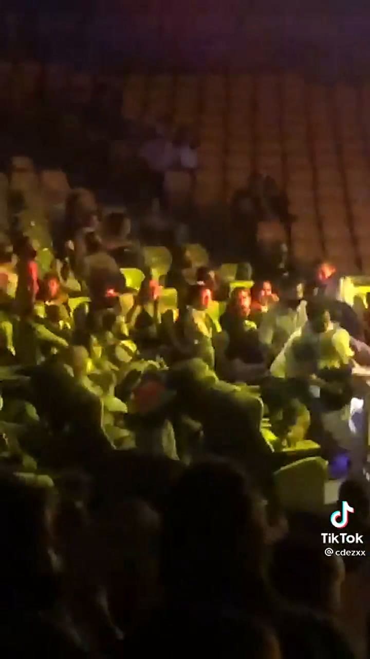 El meme de TikTok que surgió a raíz de la pelea en el circo - Fuente: TikTok