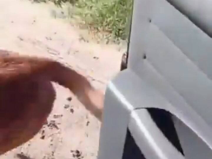 El dueño del perro compartió el video en el cual se da el reencuentro