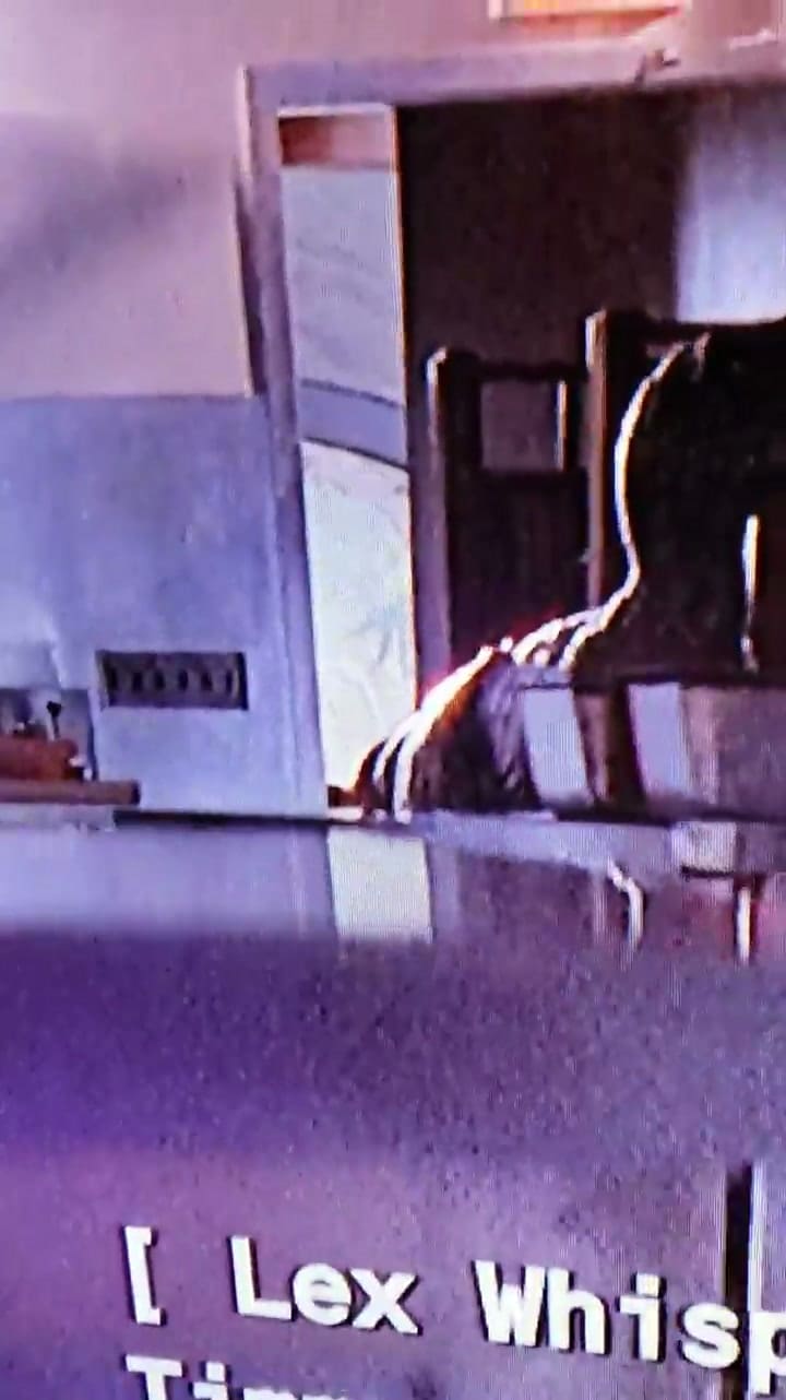 El error de Jurassik Park que un espectador descubrió 27 años después de su estreno