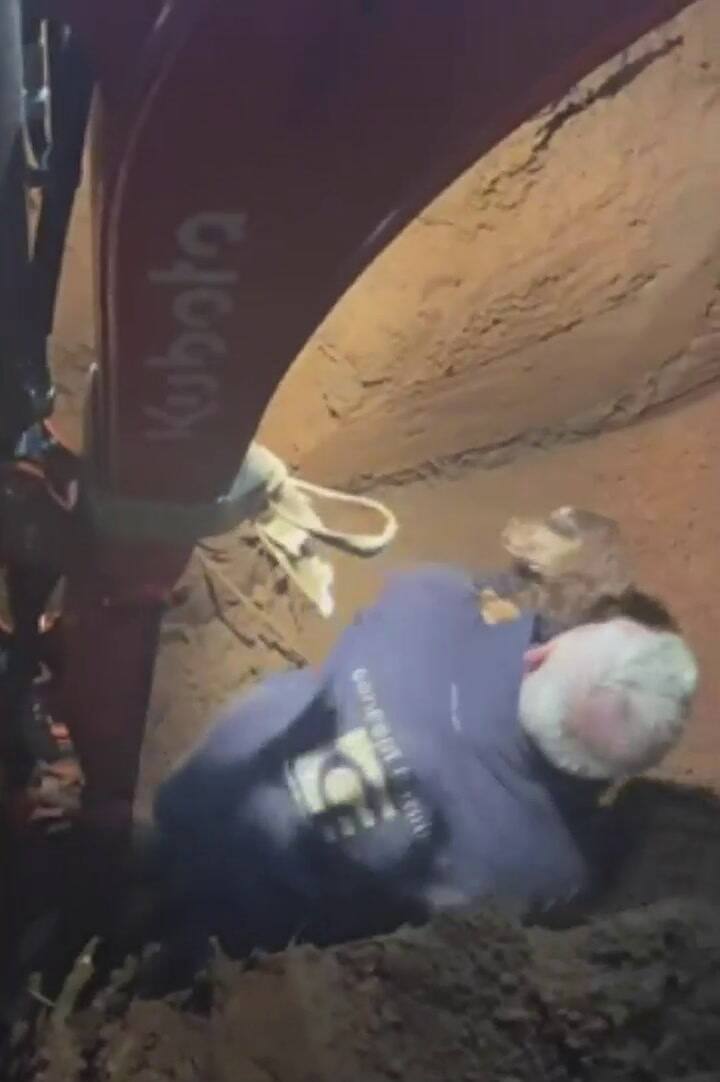 Reencuentro emotivo: un perro sordo encontró a su dueño después de pasar 30 horas en una madriguera