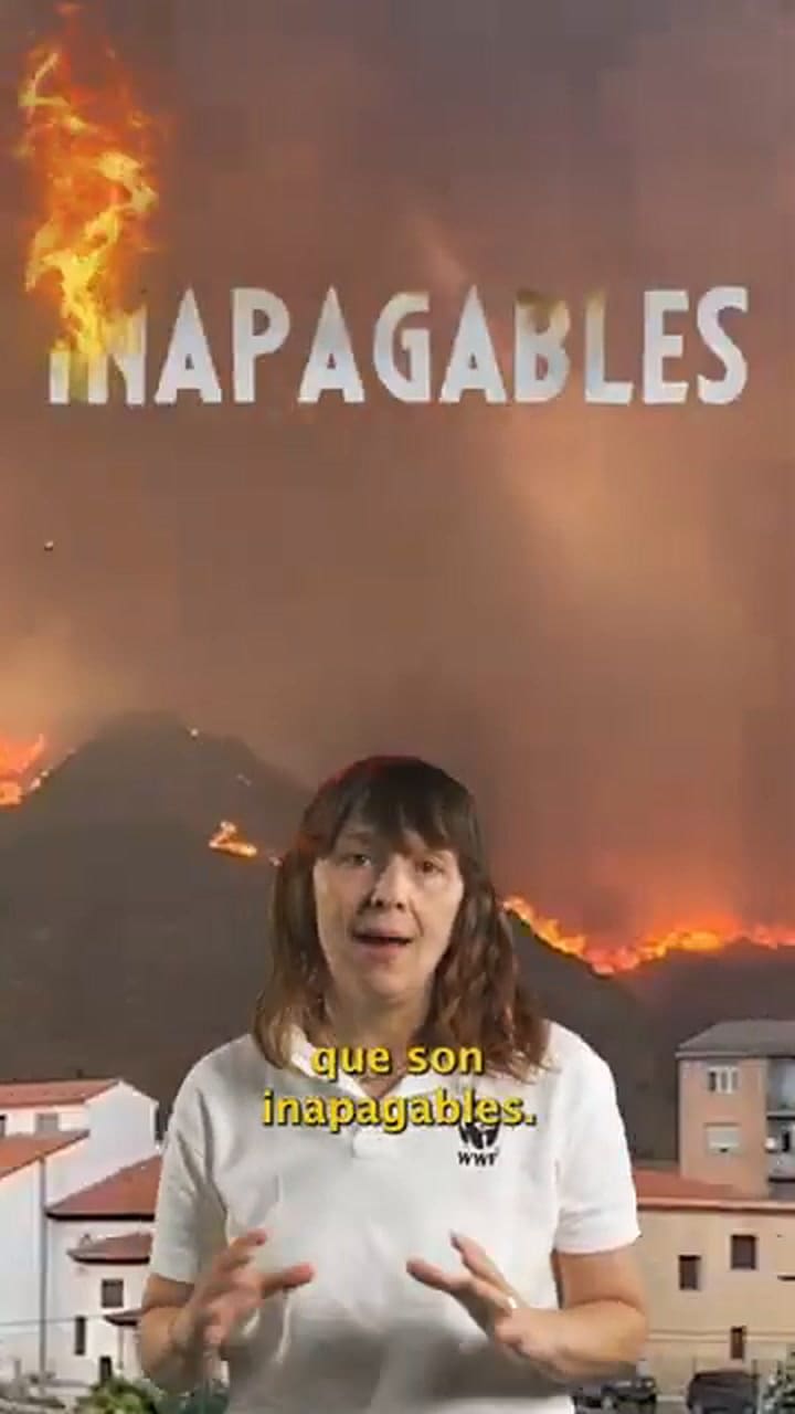 La razón por la que los incendios son cada vez más intensos y peligrosos