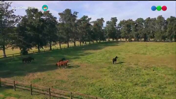 Bake Off Argentina, así comenzó la edición 2021 - Fuente: Telefe