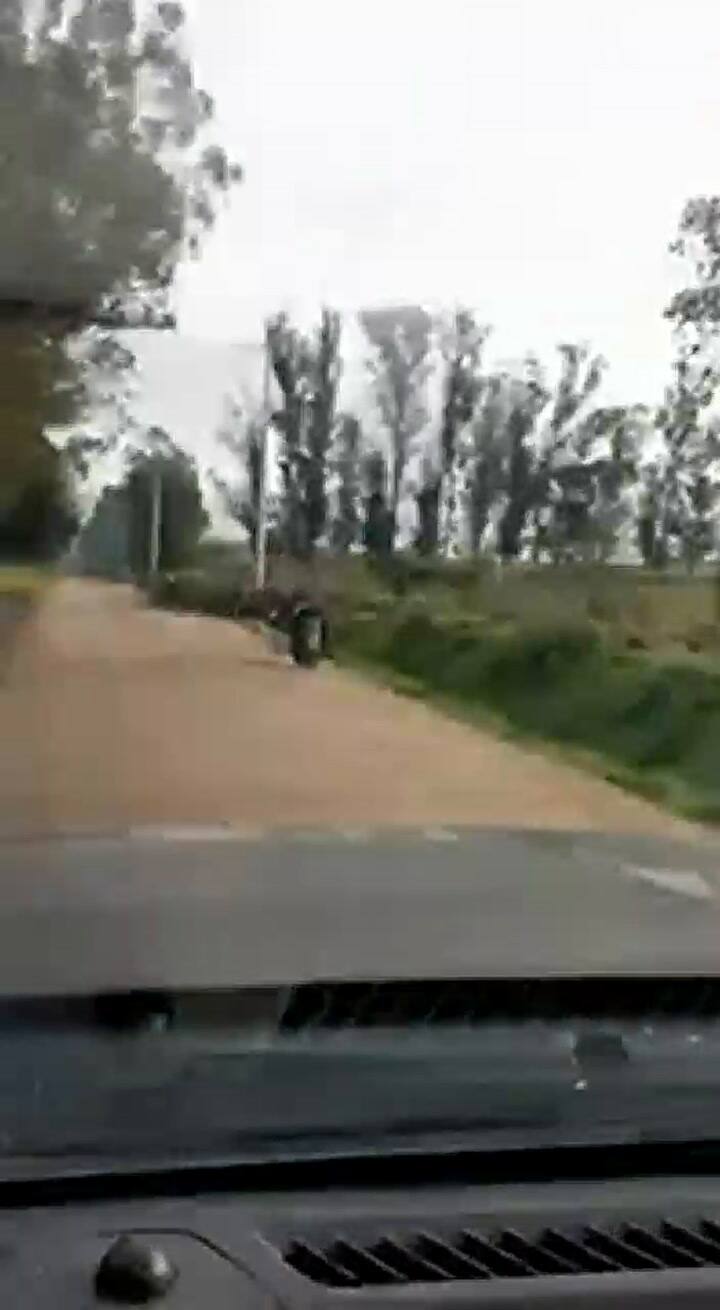 Robo de cables de telecomunicaciones en la zona sudoeste de Mar del Plata