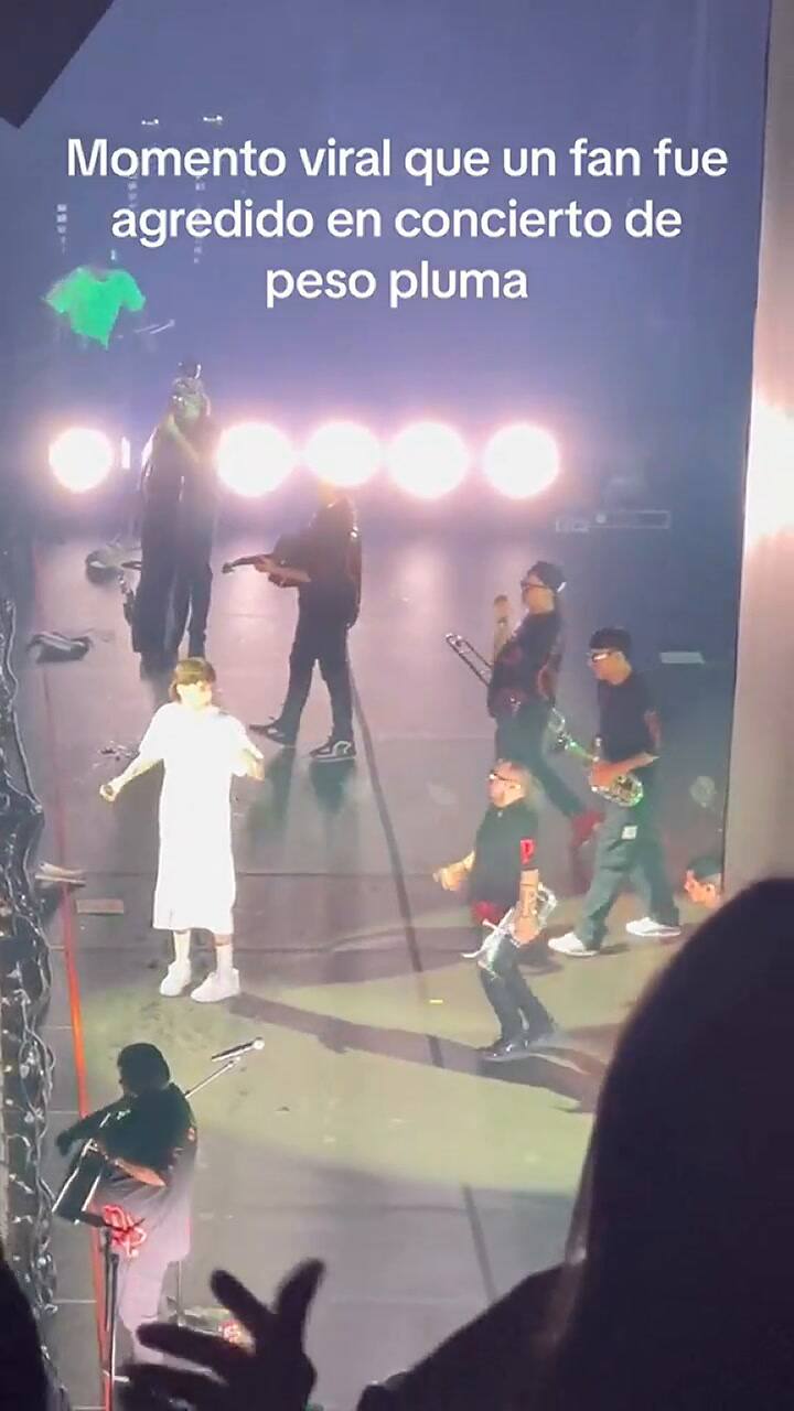 Un fanático del cantante fue retirado del escenario