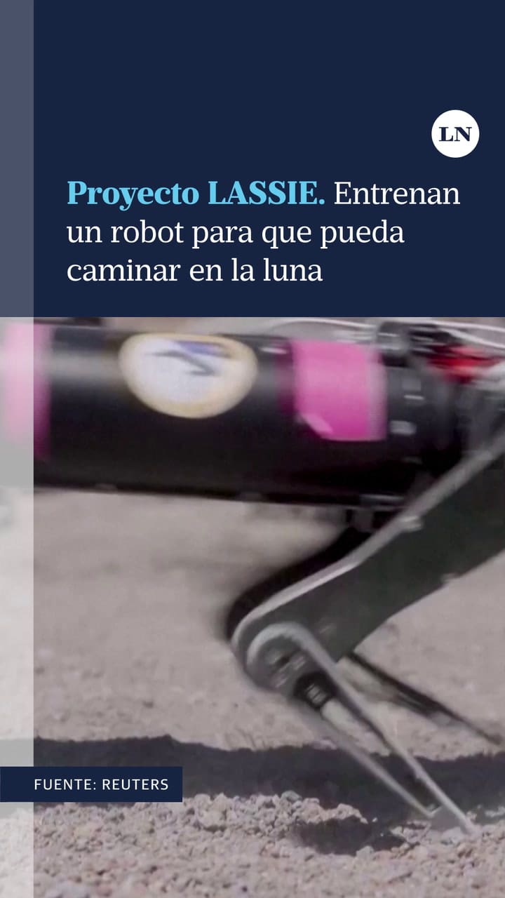 Proyecto Lassie. Entrenan Un Robot Para Que Pueda Caminar En La Luna