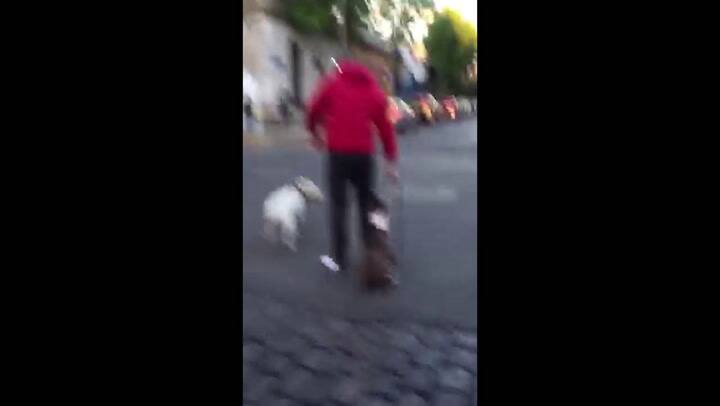 Buscan por homicidio a un hombre que había sido escrachado por maltratar a un perro