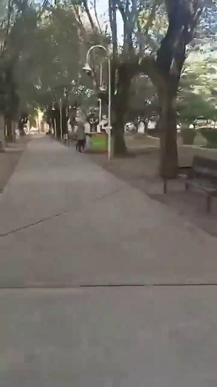 Una mujer se encontró con el ladrón que le había robado, lo enfrentó y transmitió el cruce en vivo