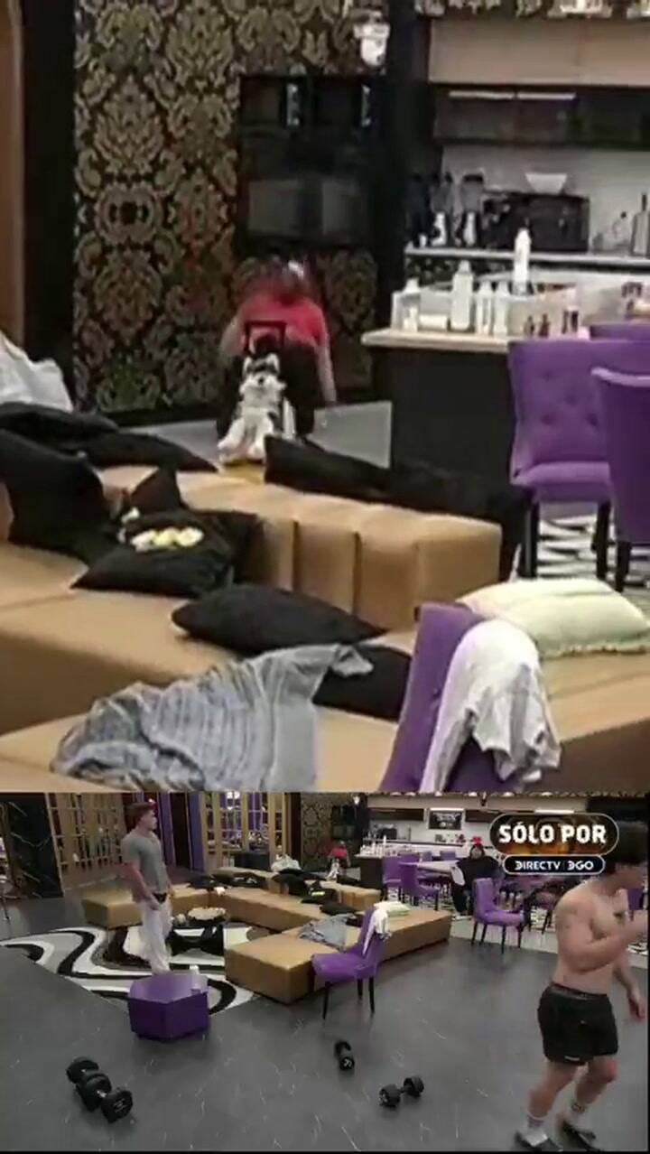 Así fue la terrible caída de Andrea del Boca en Gran Hermano