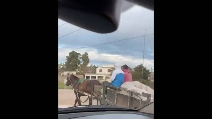 En redes. El Chino Maidana apareció vendiendo leña sobre un carro en su ciudad natal