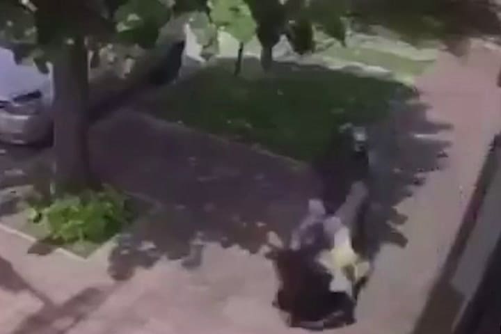 La Tiró Al Piso Para Robarle Y Quedó Desmayada GIF