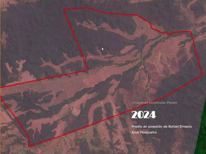 Evolución de la deforestación en el predio Adán y Eva desde que Arce la compró. Crédito: Elaboración propia con imágenes satelitales de Planet